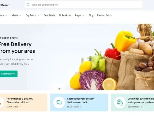 Website for Grocery Store - BoroBazar (Image Via VeenWebs.com)